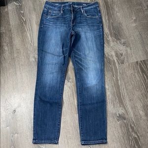 Ana Skinny Jeans Sz. 29/8